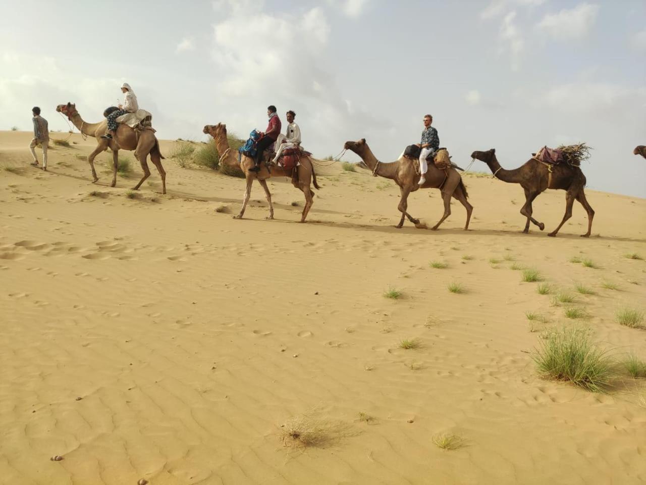 Hotel Himmat Niwas Jaisalmer Exteriör bild