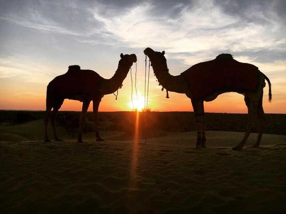 Hotel Himmat Niwas Jaisalmer Exteriör bild