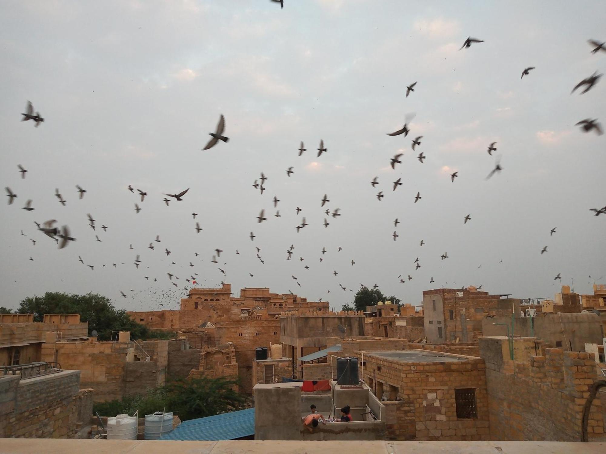 Hotel Himmat Niwas Jaisalmer Exteriör bild